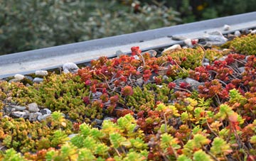the cost of Grantham green roof installation