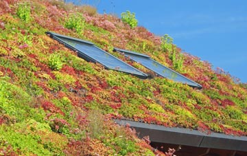 Grantham living roof systems