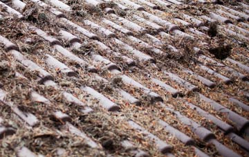 Grantham roof cleaning companies