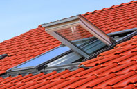 Grantham roof window